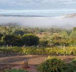 Pecan Hill BNB - Inverell Accommodation