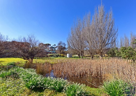 Ventnor Guest House - Inverell Accommodation 6