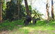 Alcheringa Cottage - thumb 4