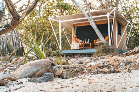 Wilson Island - Inverell Accommodation 0