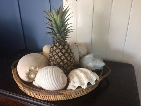 Ahoy Cottage - Inverell Accommodation 4