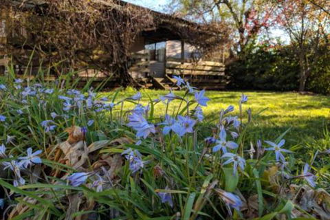 Alexander Cottage - Inverell Accommodation 3