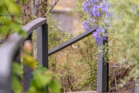 In The Valley - Inverell Accommodation 5