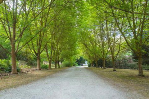 In The Valley - Inverell Accommodation 6
