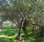 36 Bay Parklands 2 Gowrie Avenue close to the water with pool  spa  tennis court