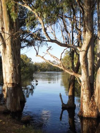 Barham Riverland Motel - Inverell Accommodation 1
