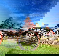 Oaks Ranch and Country Club - Inverell Accommodation