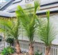 One Thornbury Boutique B  B - Inverell Accommodation