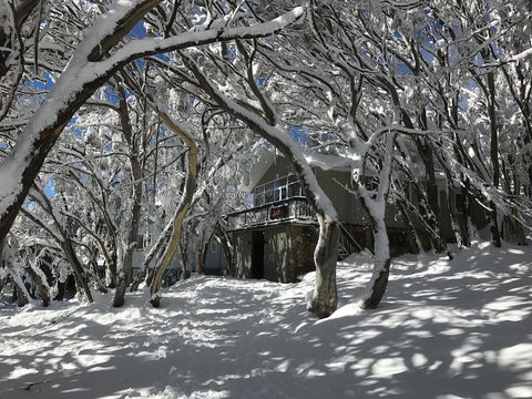 Amber Lodge Mt Buller - Hostel - Inverell Accommodation 2