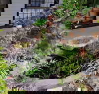 Highway Motor Inn - Inverell Accommodation