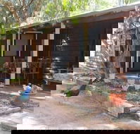 Kerriley Park Farm Stay - Inverell Accommodation