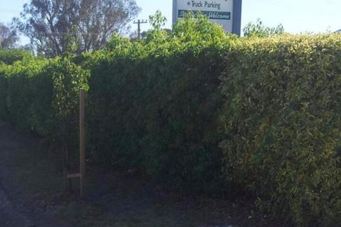 Glenndale Park Motel - Inverell Accommodation 4