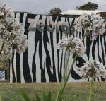 Zebras Guest House - Inverell Accommodation
