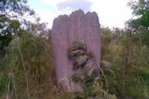 Chalets On Woodlands - Inverell Accommodation 3