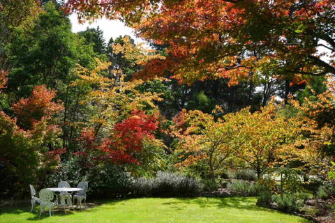 Wimbeldon - Inverell Accommodation 4