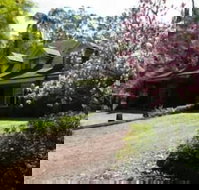 Curtis Falls Apartment - Inverell Accommodation