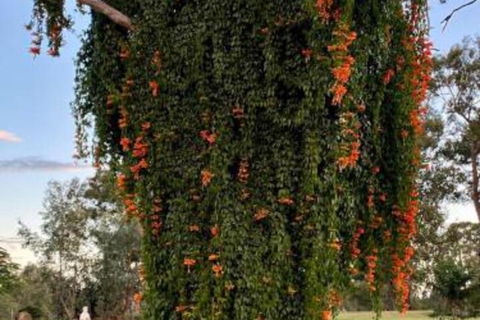 Amarina Farm Stay & Gardens - Inverell Accommodation 6