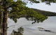 Rockpool Cottage - thumb 4