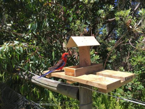 Rosella Cottage Waratah Bay - Inverell Accommodation 1