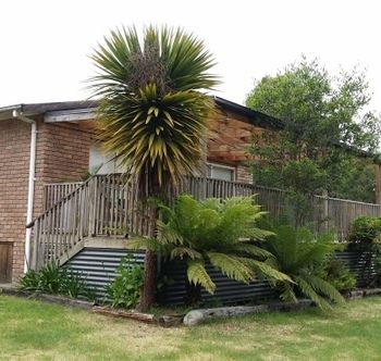 Strahan Holidays - Inverell Accommodation 4