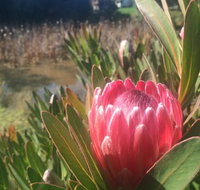 Creswick Cabin Retreat - Inverell Accommodation