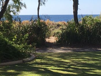 On The Shores Of Geographe Bay - Inverell Accommodation 5