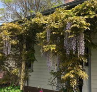 Clarence Cottage - Inverell Accommodation