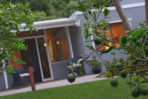 Gecko Shed - Inverell Accommodation 6