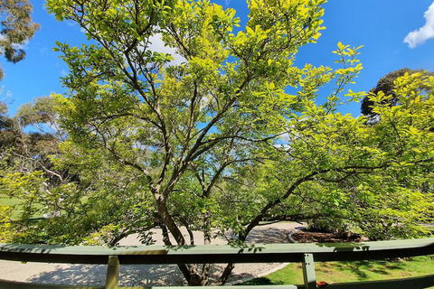 Annies Holiday Units - Inverell Accommodation 2