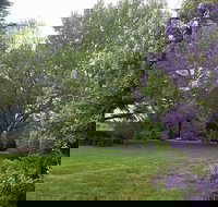 Petersons Armidale Winery  Guesthouse - Inverell Accommodation