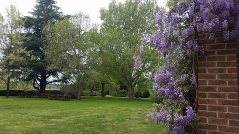 Petersons Armidale Winery & Guesthouse - Inverell Accommodation 0