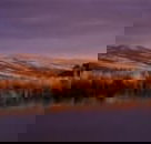 Wombat Hills Cottages - Inverell Accommodation