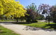 All Seasons Mansfield - thumb 5