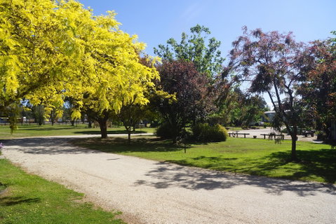 All Seasons Mansfield - Inverell Accommodation 5
