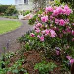 North Scottsdale TAS Inverell Accommodation