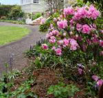 Anabels of Scottsdale - Inverell Accommodation