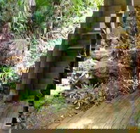 Rainforest Hideaway - Inverell Accommodation