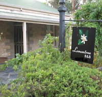 Lemontree Cottage - Inverell Accommodation