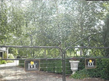 Ivy On Glenelg - Inverell Accommodation 2