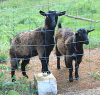 Alstonville Country Cottages - Inverell Accommodation