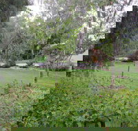 Amy's House - Inverell Accommodation