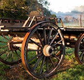 Toorongo River Sanctuary - Inverell Accommodation