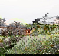 A Must At Coonawarra - Inverell Accommodation