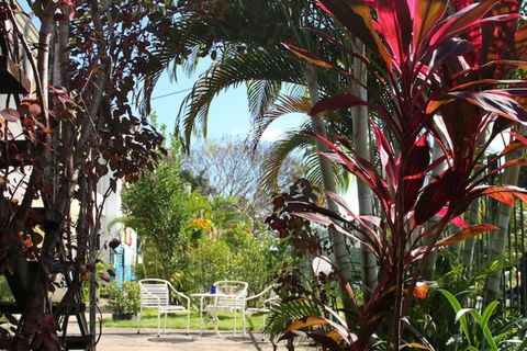 Asylum Cairns Hostel - Inverell Accommodation 3