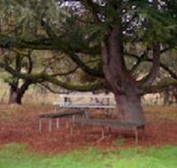 Auburn Shiraz Motel - Inverell Accommodation