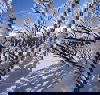 Ripparoo Ski Lodge - Inverell Accommodation