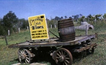 Bega Village Motor Inn - Inverell Accommodation 0