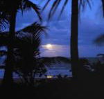 Sejala Beach Huts - Inverell Accommodation