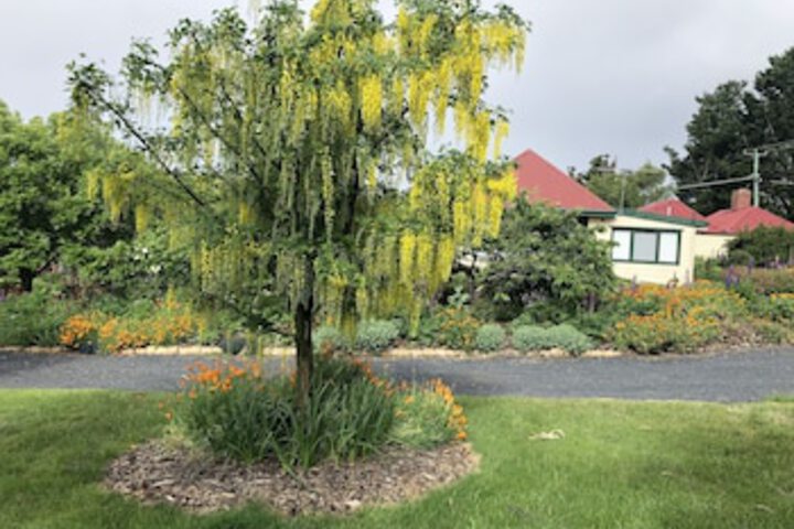 Fentonbury TAS Inverell Accommodation