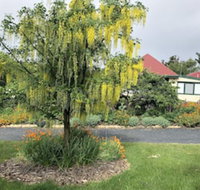 Hamlet Downs Country Accommodation - Inverell Accommodation